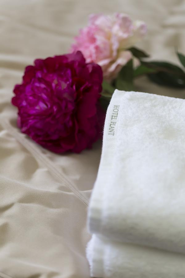 Toyokawa Hotel Plant Garden Resort (Adults Only) מראה חיצוני תמונה